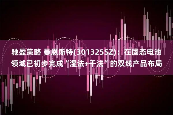 驰盈策略 曼恩斯特(301325SZ)：在固态电池领域已初步完成“湿法+干法”的双线产品布局