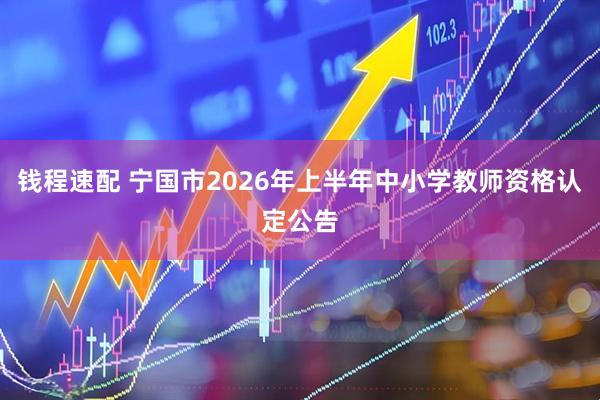 钱程速配 宁国市2026年上半年中小学教师资格认定公告