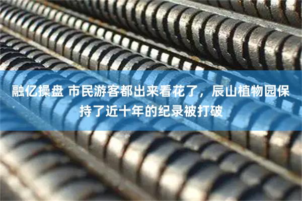 融亿操盘 市民游客都出来看花了，辰山植物园保持了近十年的纪录被打破